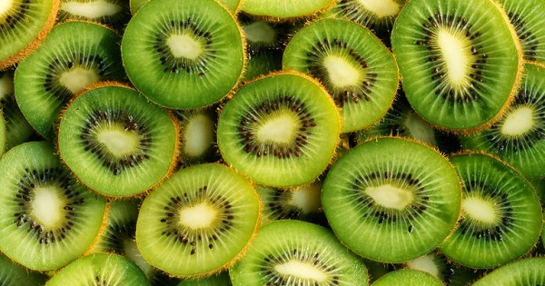 Thành phần dinh dưỡng từ quả kiwi | VIAM