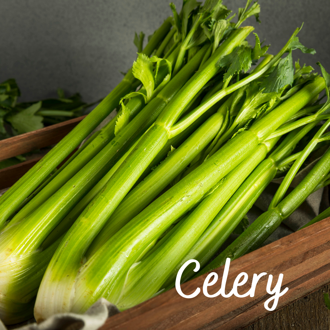Celery Vegetable Seeds – Garden Up Store