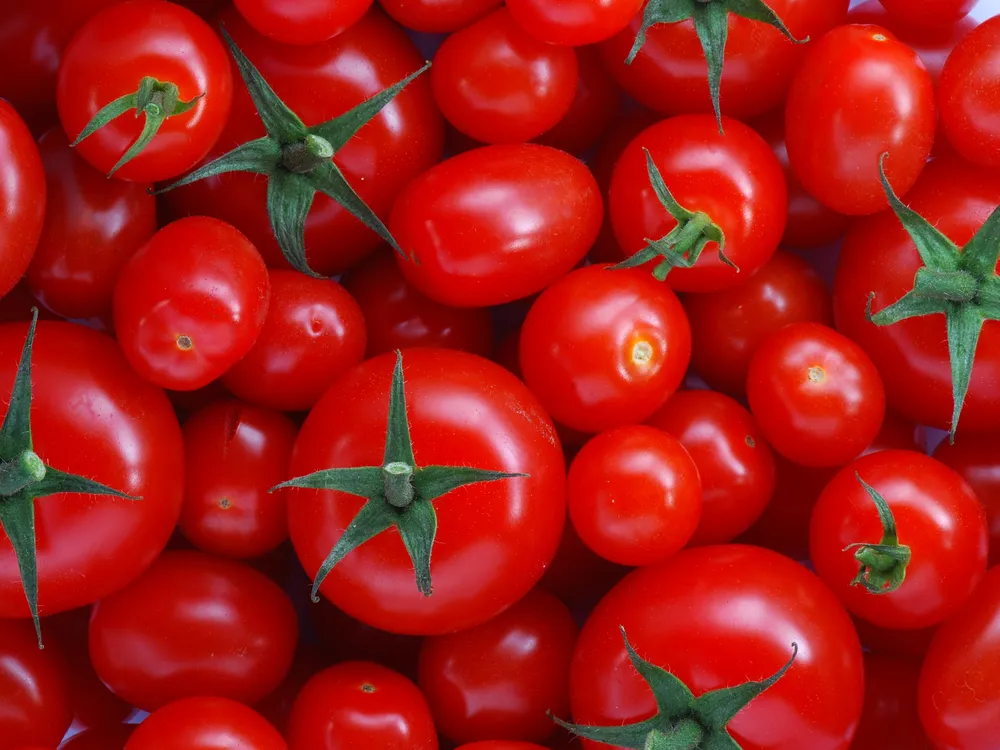 Tomatoes Have Legally Been Vegetables Since 1893 | Smart News| Smithsonian  Magazine