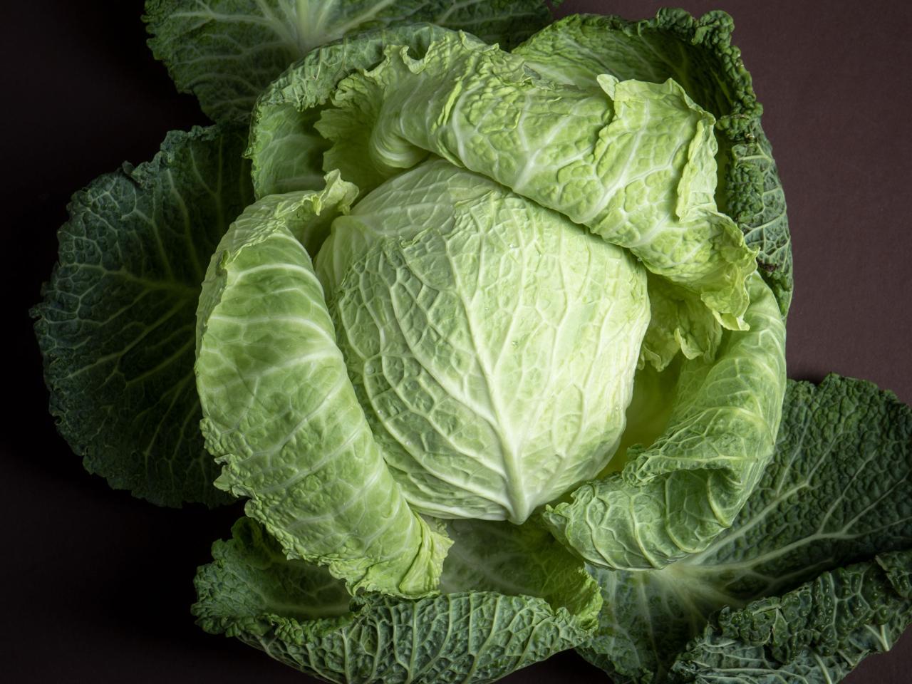 Everything You Need to Know About Shopping for, Storing, and Preparing In  Season Savoy Cabbage | Stories | Kitchen Stories