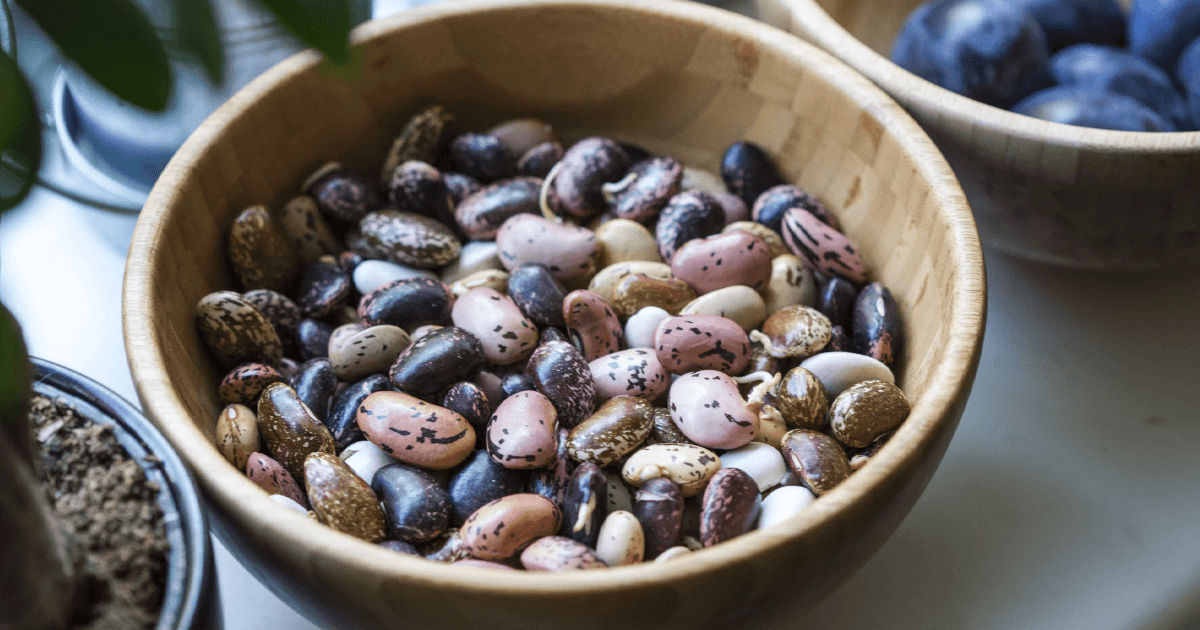 A Culinary Tour Of Beans Around The World's Cuisines