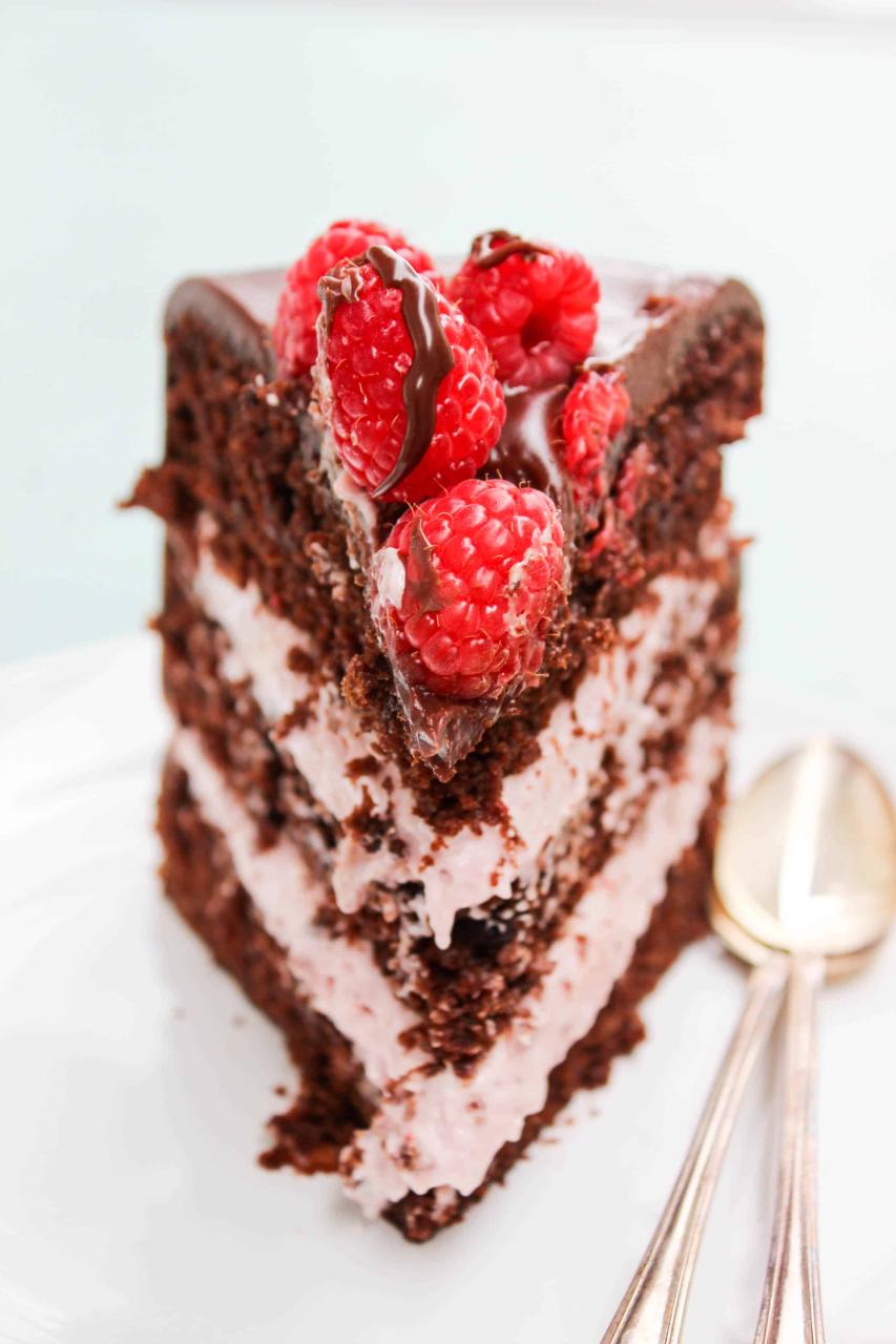 Chocolate Raspberry Cake - Dash of Sanity