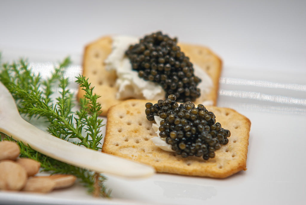 Beluga Hybrid – Caviar Express, Inc.