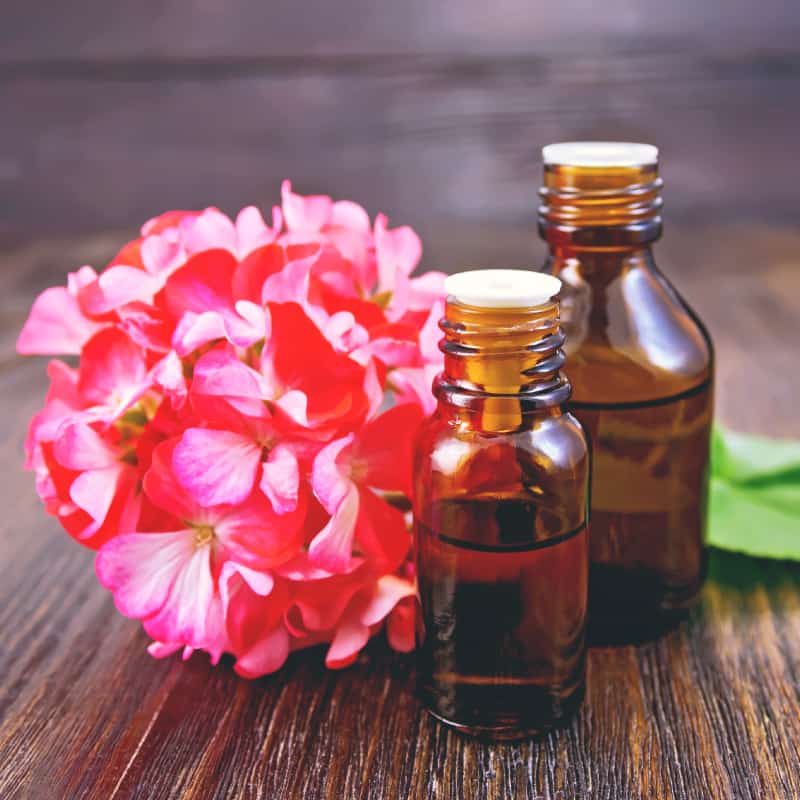 14 Geranium Oil Uses and Benefits for Healthy Skin and More - Dr. Axe