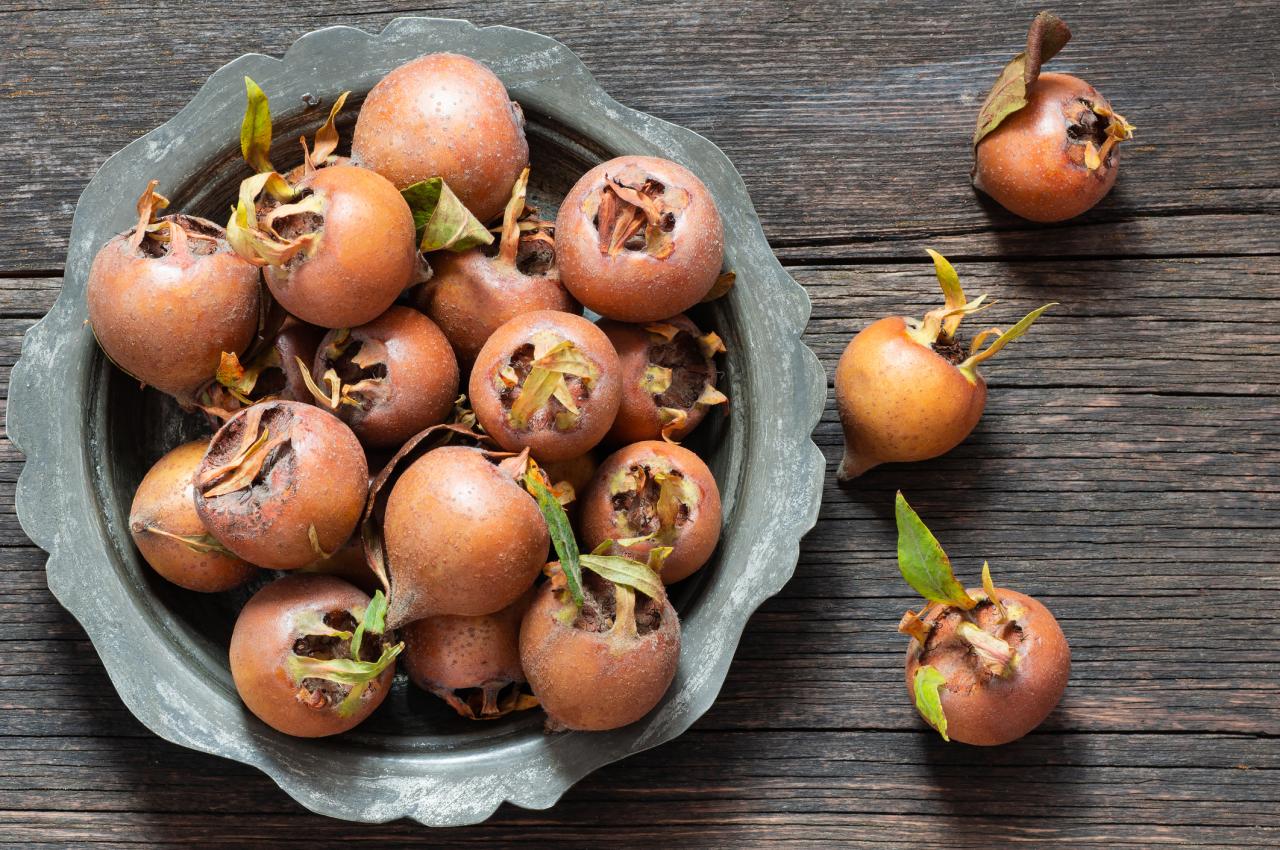 Curious Questions: The mystery of the medlar, the British fruit once as  common as the apple that's almost disappeared in the space of 50 years -  Country Life