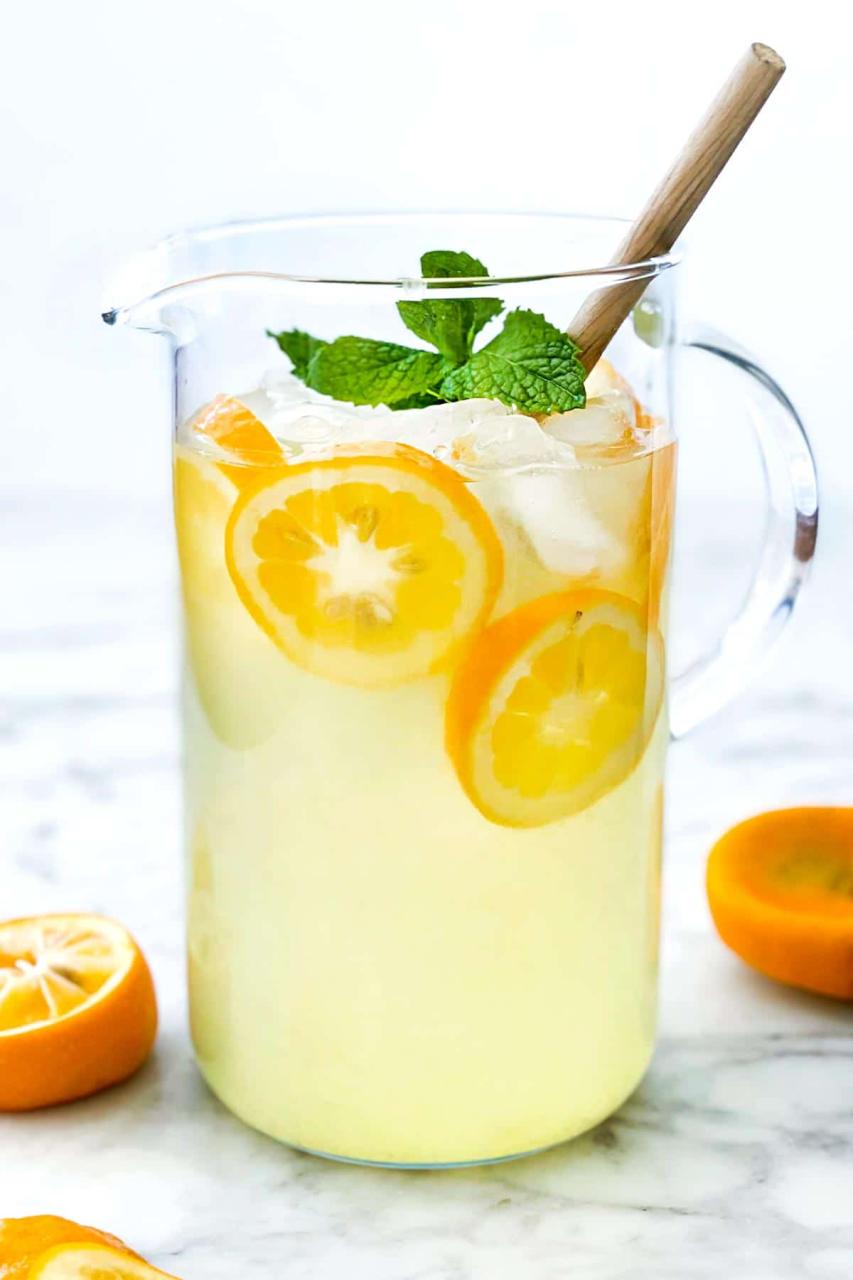 How to Make the BEST Lemonade | foodiecrush.com