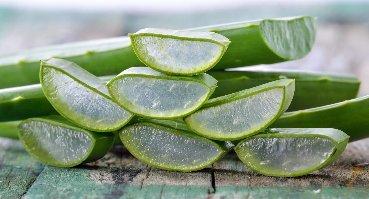 Aloe vera gel in beauty: a natural and moisturizing product