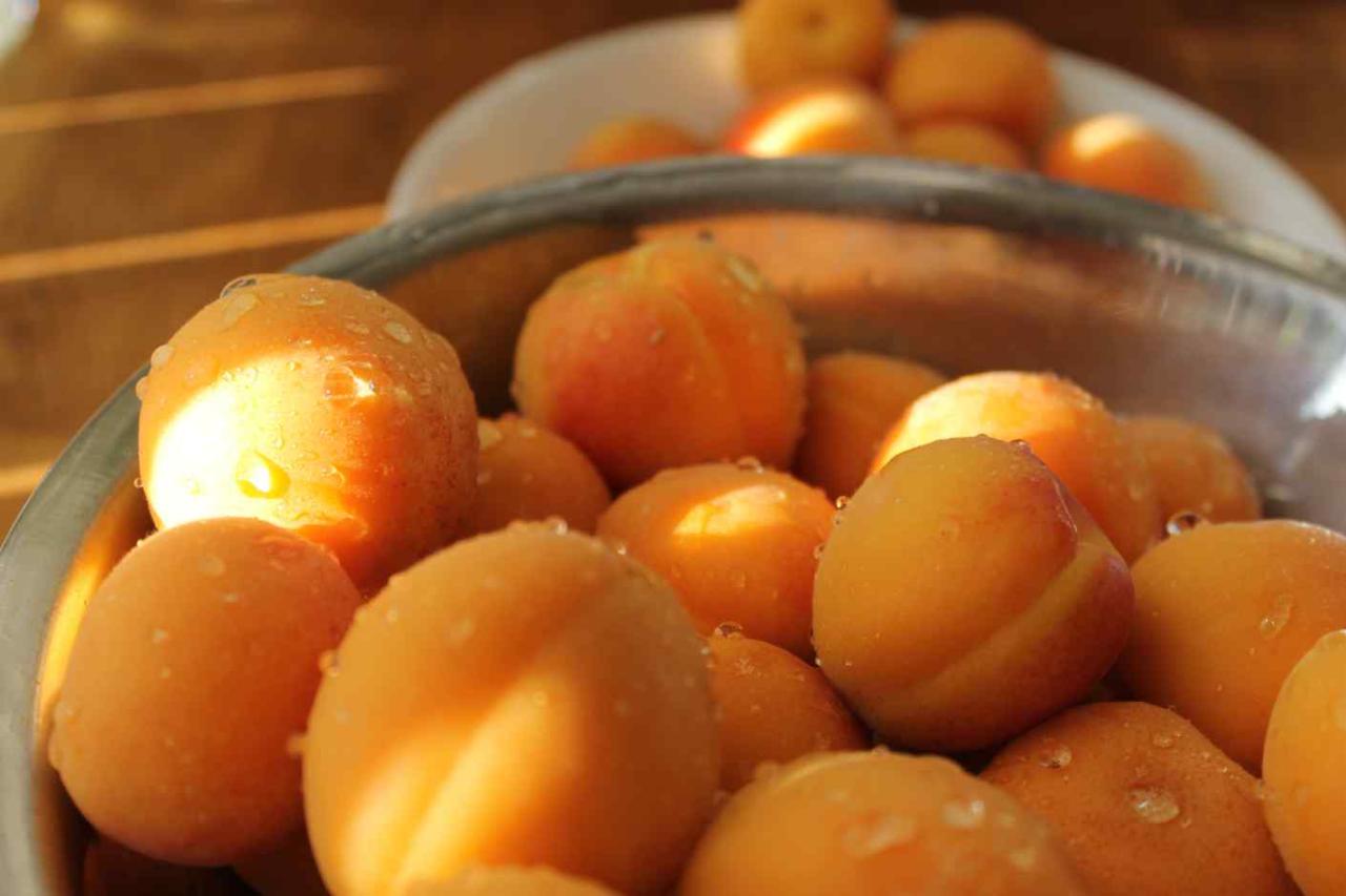 apricot compote recipe :: story of a kitchen