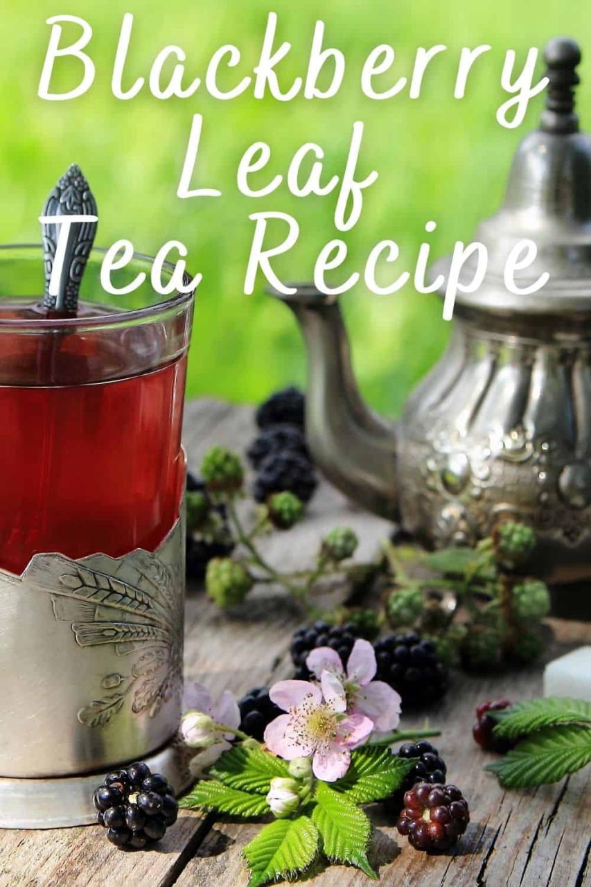 Blackberry Leaf Tea: A Herbal Remedy For Your Health