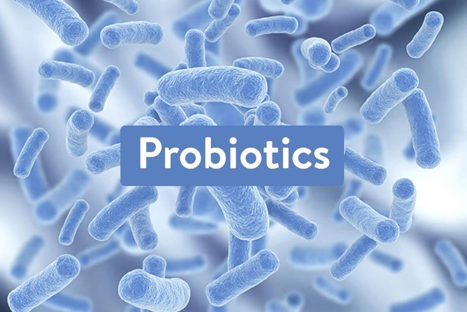 10 lợi ích uống probiotics giúp nâng cao sức khỏe gia đình