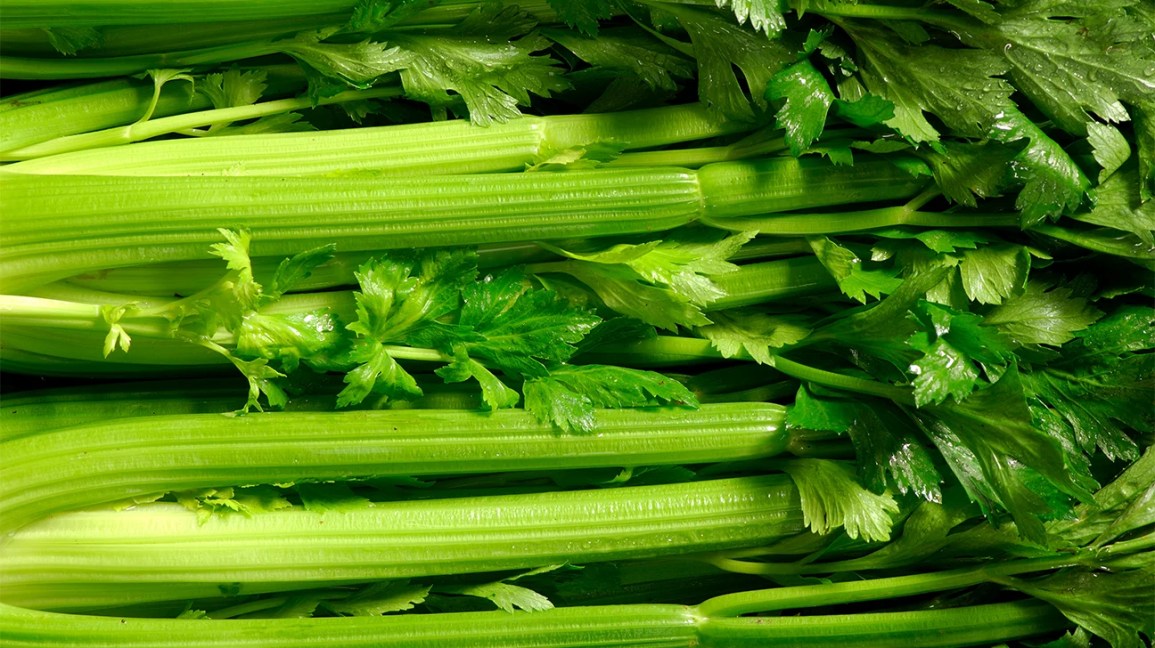 Celery Benefits for Men: Fact or Fiction?