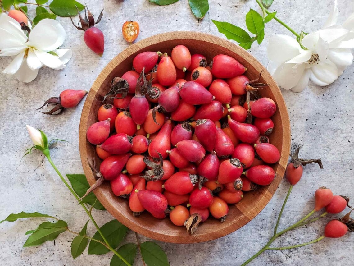 Radiant Rose Hips: How to Harvest, Dry and Use Rosehips ~ Homestead and  Chill