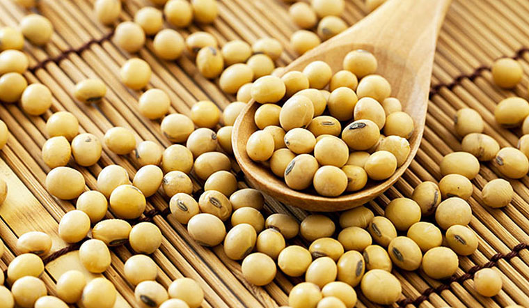 Hạt Soy Bean là gì? Tác dụng của hạt Soy Bean với sức khoẻ và làm đep