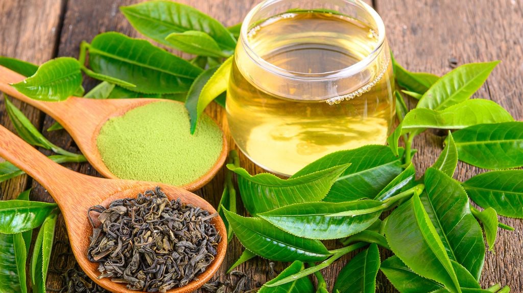 Chiết xuất trà xanh/ Green tea extract – DaQuyn