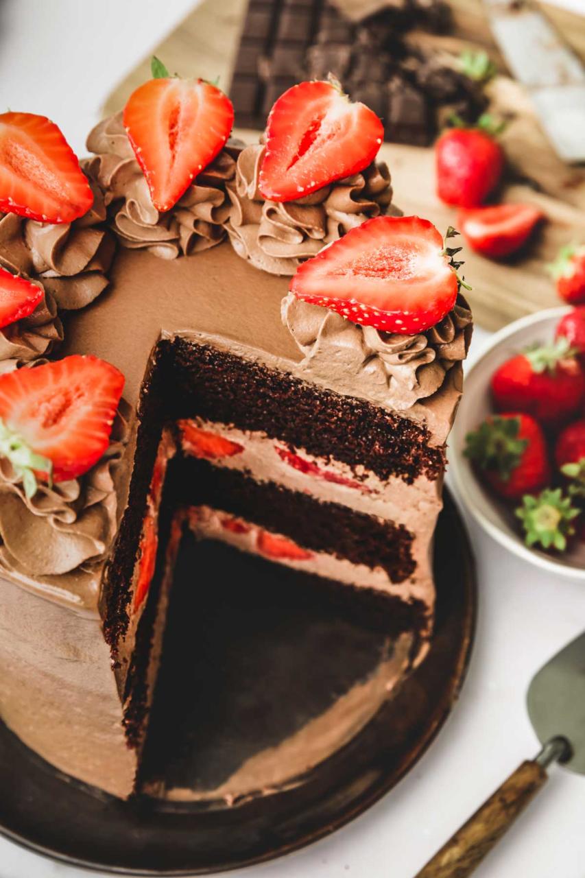 Easy Chocolate Strawberry Cake with Whipped Ganache
