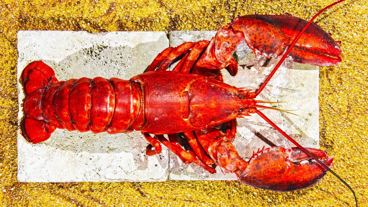 Lobster Nutrition: Is It Good for You and How Much Is OK to Eat?