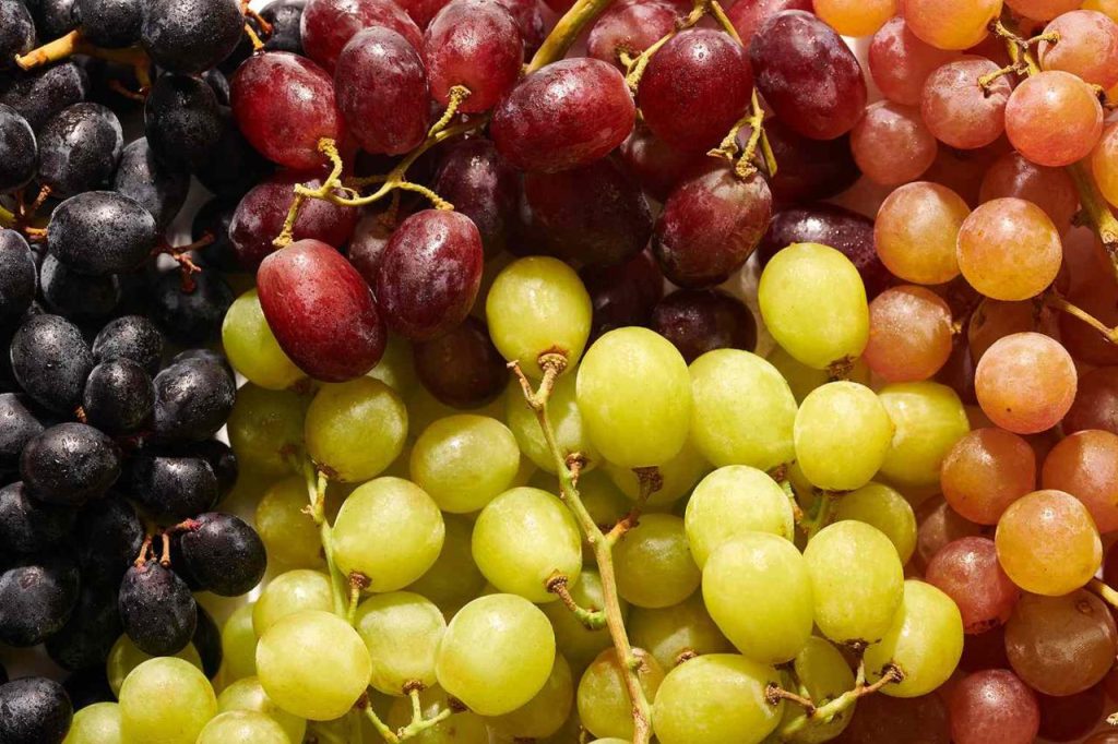 What Are Grapes, and How Are They Used?