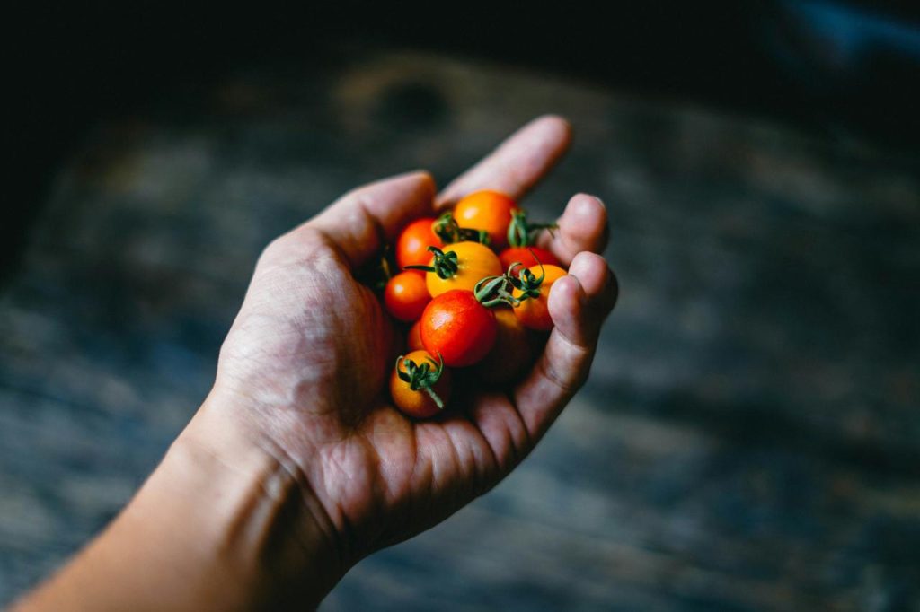 Foto Pessoa segurando tomate cereja – Imagem de Alimento grátis no Unsplash